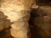 Laurel Cave Hercules pillar