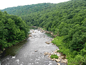 Река Йогигени 