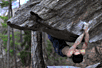 �������� � ��� �������